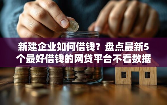 新建企业如何借钱？盘点最新5个最好借钱的网贷平台不看数据