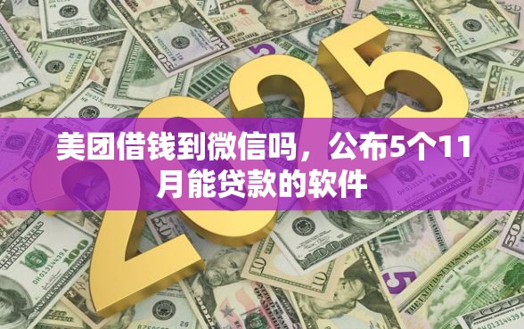 美团借钱到微信吗，公布5个11月能贷款的软件