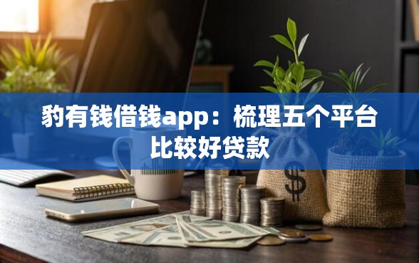 豹有钱借钱app：梳理五个平台比较好贷款