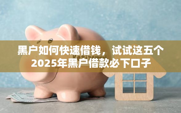 黑户如何快速借钱，试试这五个2025年黑户借款必下口子