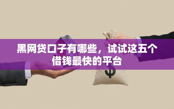 黑网贷口子有哪些，试试这五个借钱最快的平台