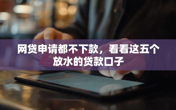 网贷申请都不下款，看看这五个放水的贷款口子
