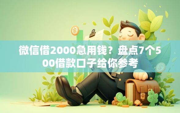 微信借2000急用钱？盘点7个500借款口子给你参考