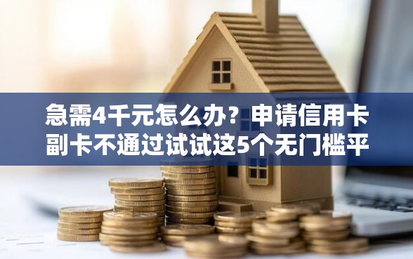 急需4千元怎么办？申请信用卡副卡不通过试试这5个无门槛平台