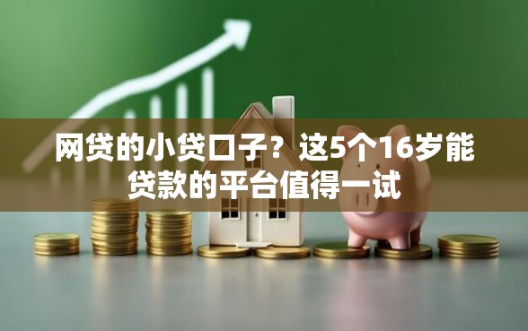 网贷的小贷口子？这5个16岁能贷款的平台值得一试