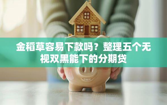 金稻草容易下款吗?整理五个无视双黑能下的分期贷 金稻草容易下款吗?整理五个无视双黑能下的分期贷