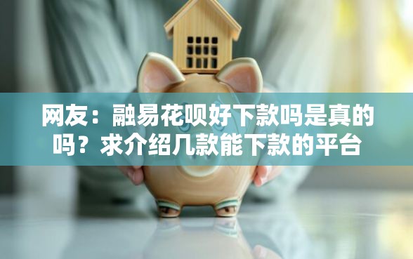 网友：融易花呗好下款吗是真的吗？求介绍几款能下款的平台