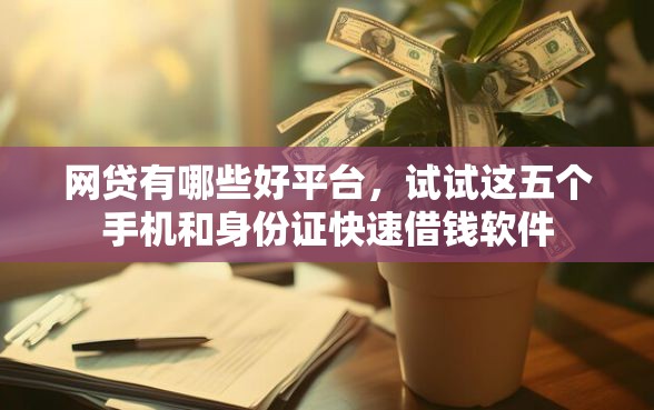 网贷有哪些好平台，试试这五个手机和身份证快速借钱软件