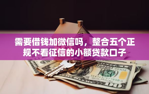 需要借钱加微信吗，整合五个正规不看征信的小额贷款口子