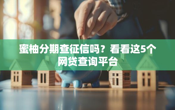 蜜柚分期查征信吗？看看这5个网贷查询平台