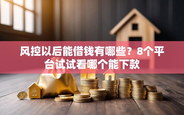 风控以后能借钱有哪些？8个平台试试看哪个能下款