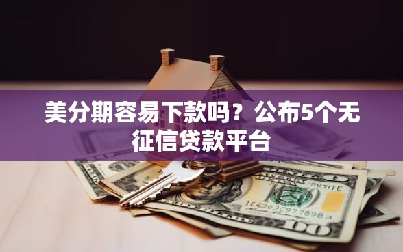 美分期容易下款吗？公布5个无征信贷款平台