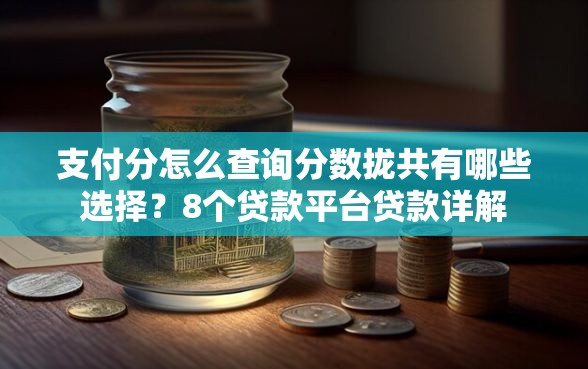 支付分怎么查询分数拢共有哪些选择？8个贷款平台贷款详解