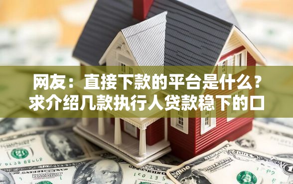 网友：直接下款的平台是什么？求介绍几款执行人贷款稳下的口子