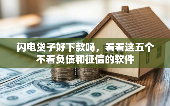 闪电贷子好下款吗，看看这五个不看负债和征信的软件