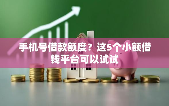 手机号借款额度？这5个小额借钱平台可以试试