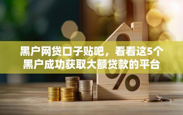 黑户网贷口子贴吧，看看这5个黑户成功获取大额贷款的平台