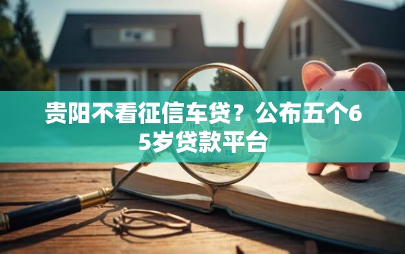贵阳不看征信车贷？公布五个65岁贷款平台