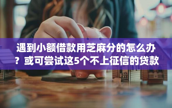 遇到小额借款用芝麻分的怎么办？或可尝试这5个不上征信的贷款app