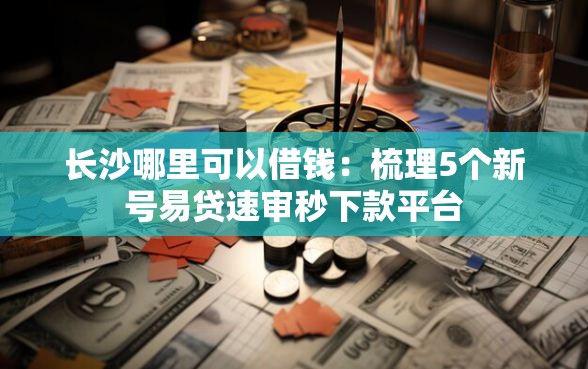 长沙哪里可以借钱：梳理5个新号易贷速审秒下款平台