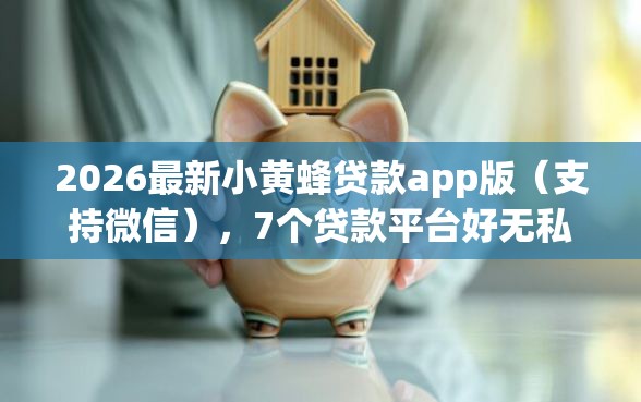 2026最新小黄蜂贷款app版（支持微信），7个贷款平台好无私分享