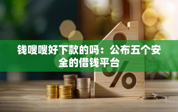 钱嗖嗖好下款的吗：公布五个安全的借钱平台