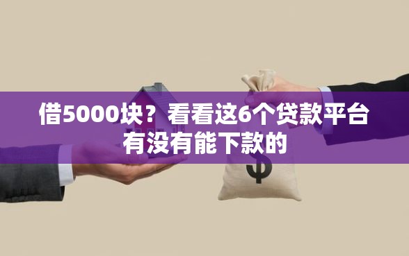 借5000块？看看这6个贷款平台有没有能下款的