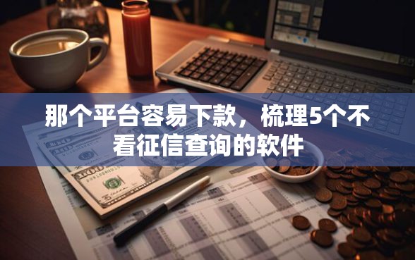 那个平台容易下款，梳理5个不看征信查询的软件
