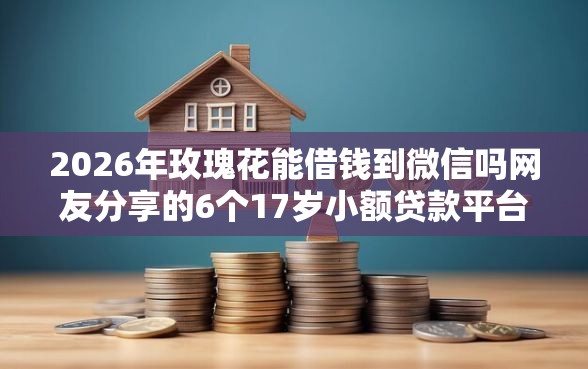 2026年玫瑰花能借钱到微信吗网友分享的6个17岁小额贷款平台我觉得不错！