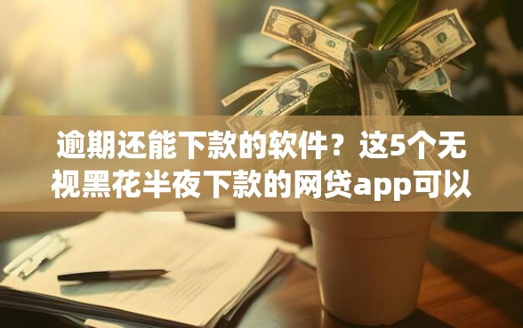 逾期还能下款的软件？这5个无视黑花半夜下款的网贷app可以试试