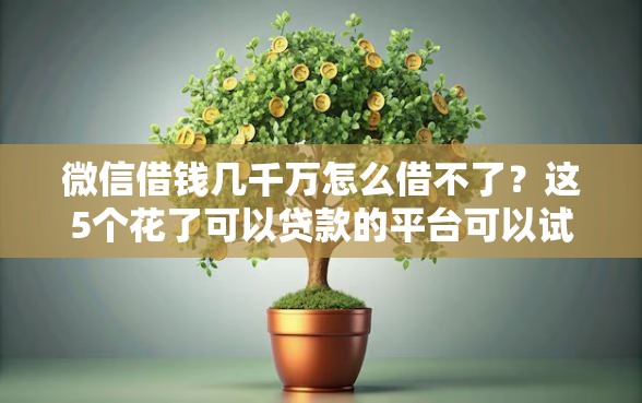 微信借钱几千万怎么借不了？这5个花了可以贷款的平台可以试试
