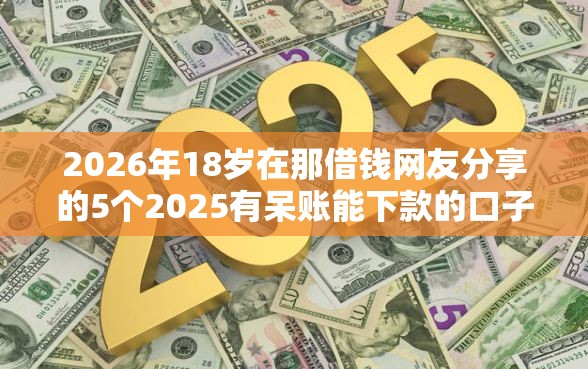 2026年18岁在那借钱网友分享的5个2025有呆账能下款的口子我觉得不错！