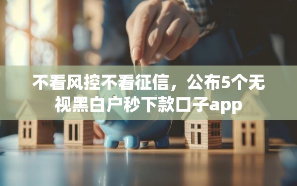 不看风控不看征信，公布5个无视黑白户秒下款口子app