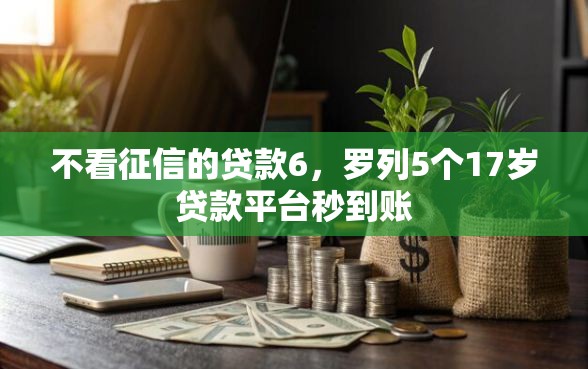 不看征信的贷款6，罗列5个17岁贷款平台秒到账