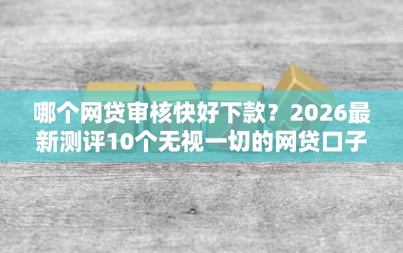 哪个网贷审核快好下款？2026最新测评10个无视一切的网贷口子
