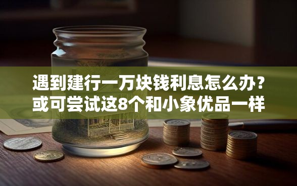 遇到建行一万块钱利息怎么办？或可尝试这8个和小象优品一样好下款的口子