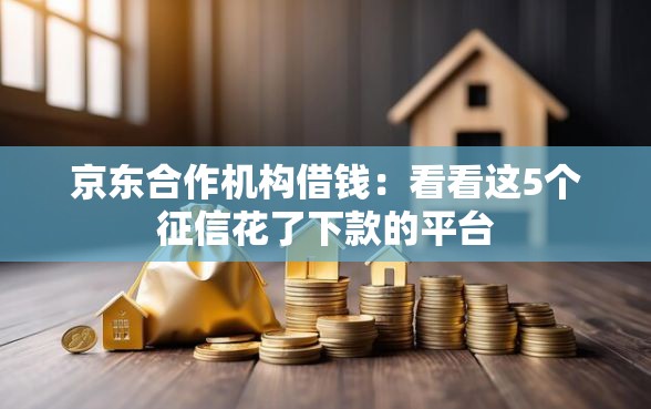京东合作机构借钱：看看这5个征信花了下款的平台