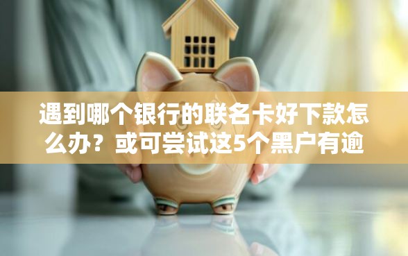 遇到哪个银行的联名卡好下款怎么办？或可尝试这5个黑户有逾期也能必过的口子