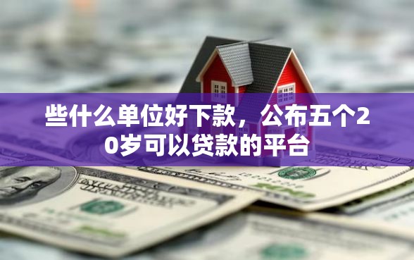 些什么单位好下款，公布五个20岁可以贷款的平台