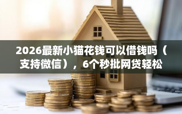 2026最新小猫花钱可以借钱吗（支持微信），6个秒批网贷轻松贷的app无私分享