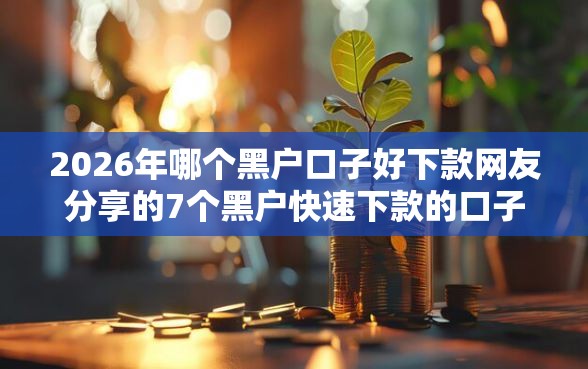 2026年哪个黑户口子好下款网友分享的7个黑户快速下款的口子我觉得不错！