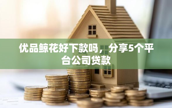 优品鲸花好下款吗，分享5个平台公司贷款