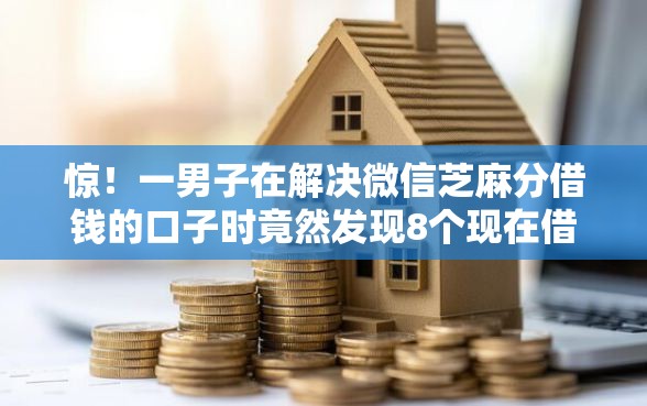 惊!一男子在解决微信芝麻分借钱的口子时竟然发现8个现在借款平台好借钱,事后分享了出来 惊!一男子在解决微信芝麻分借钱的口子时竟然发现8个现在借款平台好借钱,事后分享了出来