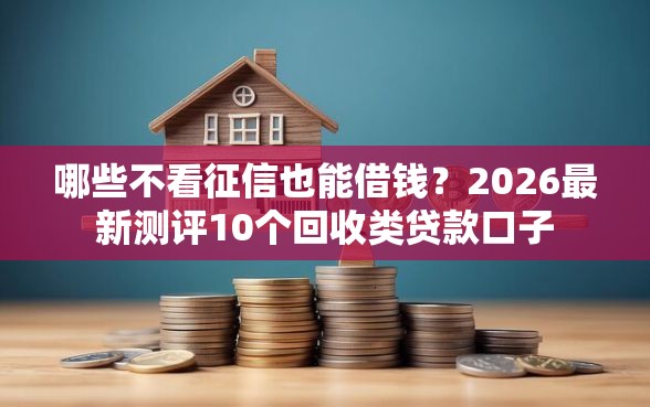 哪些不看征信也能借钱？2026最新测评10个回收类贷款口子