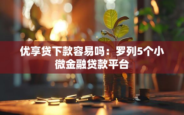 优享贷下款容易吗：罗列5个小微金融贷款平台