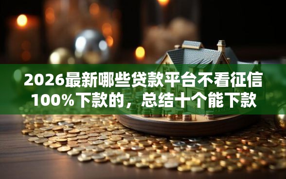 2026最新哪些贷款平台不看征信100%下款的，总结十个能下款的网贷平台！