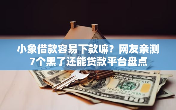 小象借款容易下款嘛？网友亲测7个黑了还能贷款平台盘点