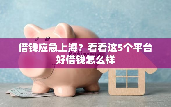 借钱应急上海？看看这5个平台好借钱怎么样