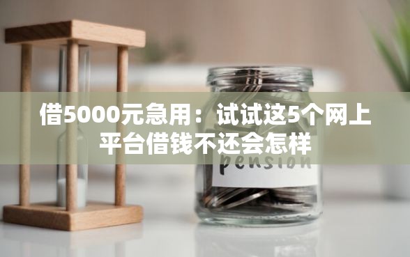 借5000元急用：试试这5个网上平台借钱不还会怎样