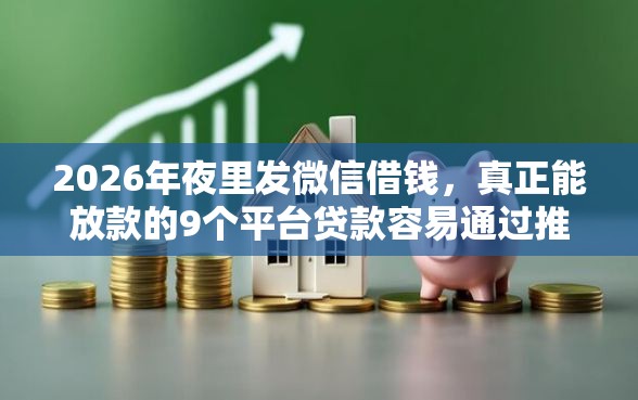 2026年夜里发微信借钱，真正能放款的9个平台贷款容易通过推荐